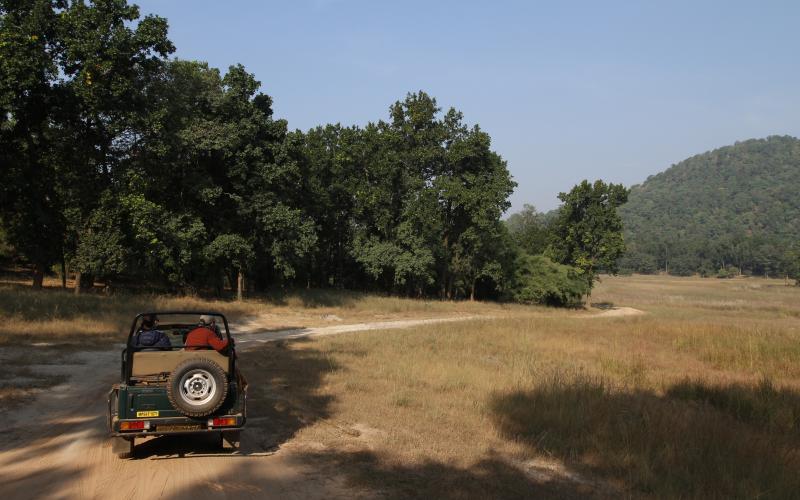 Bandhavgarh