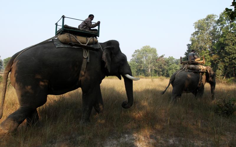 Bandhavgarh