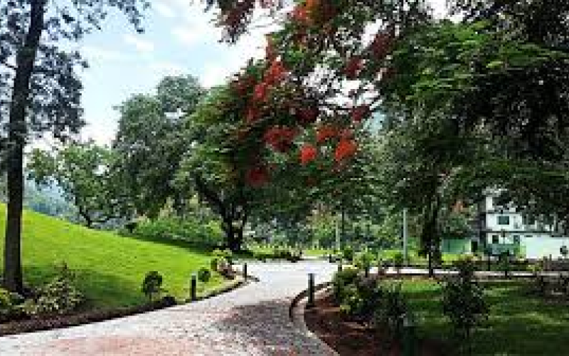 Green Park,Jorethang, South Sikkim