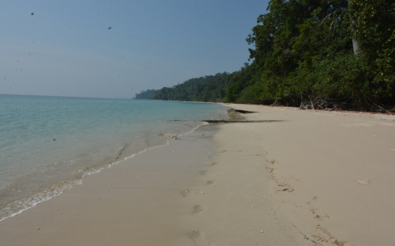 Lalaji Bay Beach, Long Island