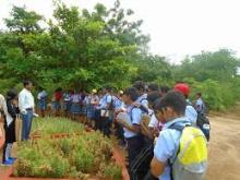 Telangana State Forest Academy